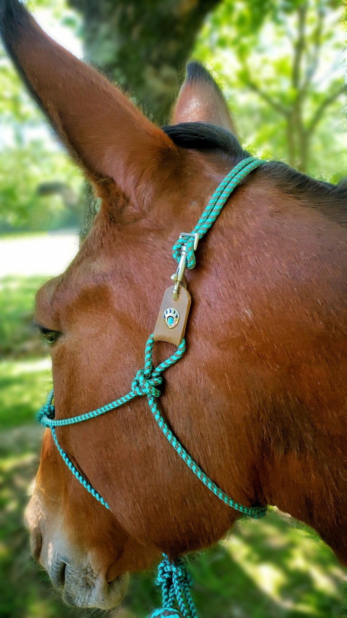 Breakaway Rope Halter - Elk Hollow DesignsBreakaway Rope Halter