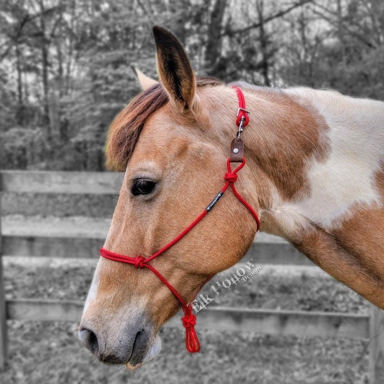 Breakaway Rope Halter - Elk Hollow DesignsBreakaway Rope Halter