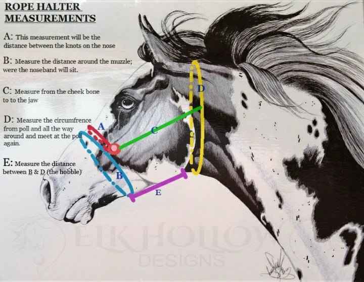 Breakaway Rope Halter