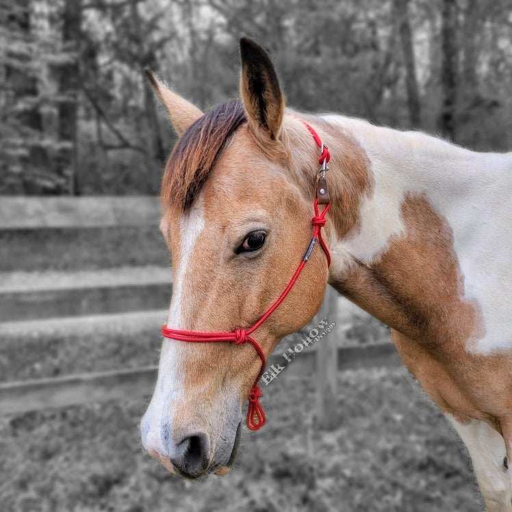 Breakaway Rope Halter - Elk Hollow DesignsBreakaway Rope Halter