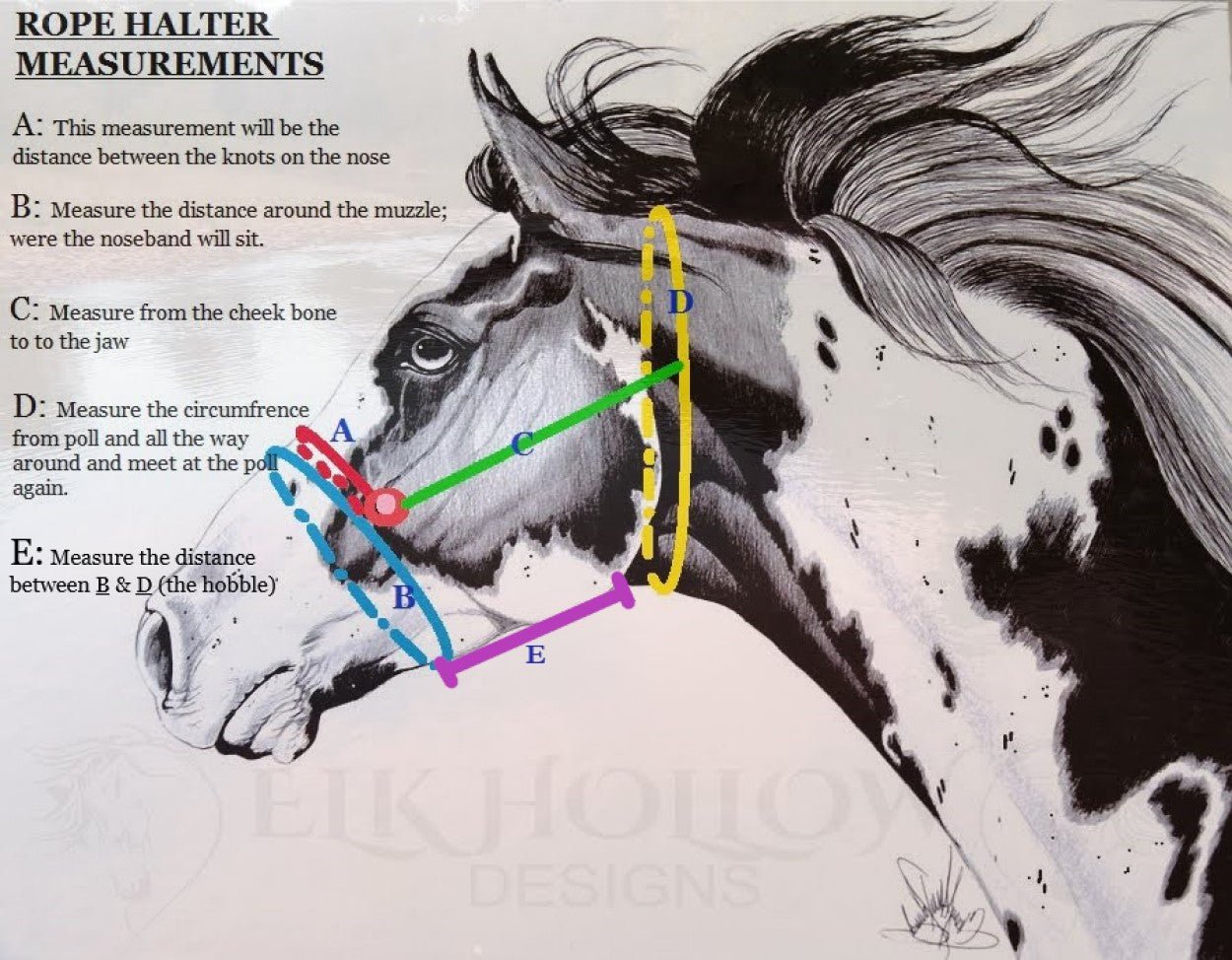 Clinician Rope Halter - Elk Hollow DesignsClinician Rope Halter