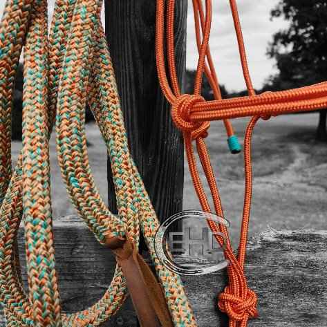 Clinician Rope Halter and Lead Rope Set - Burnt Orange