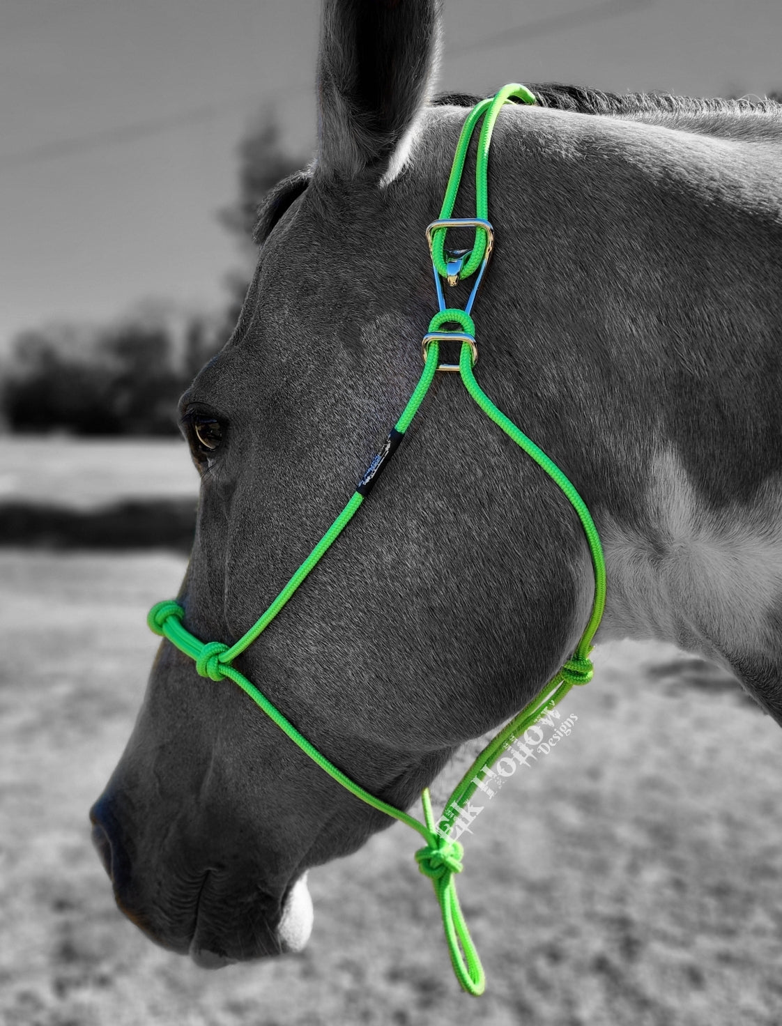 EHD Easy On Rope Halter - Elk Hollow DesignsEHD Easy On Rope Halter