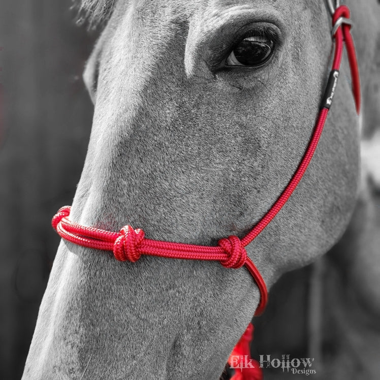 EHD Easy On Rope Halter - Elk Hollow DesignsEHD Easy On Rope Halter