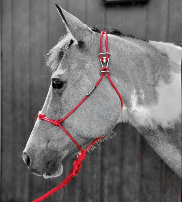 EHD Easy On Rope Halter - Elk Hollow DesignsEHD Easy On Rope Halter