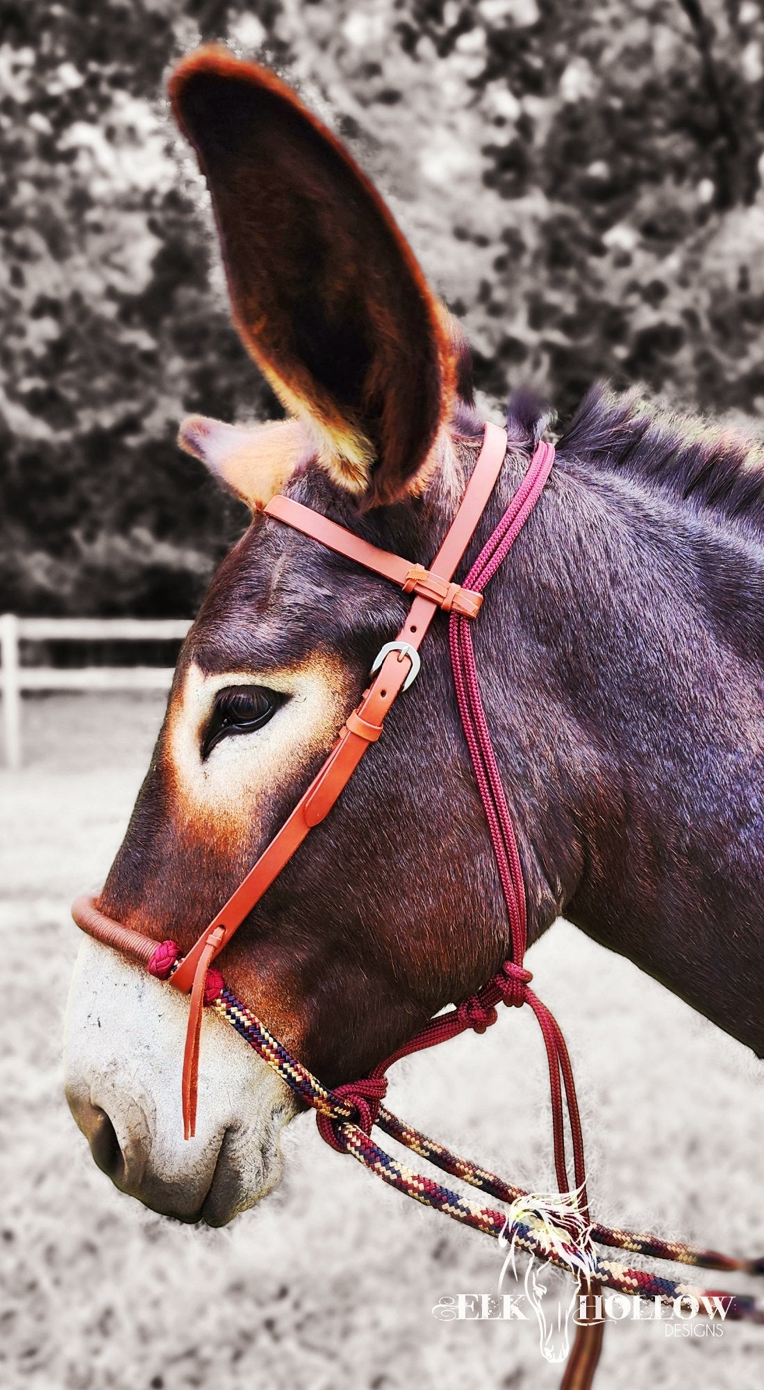 Loping Hackamore Soft Nose - Elk Hollow DesignsLoping Hackamore Soft Nose