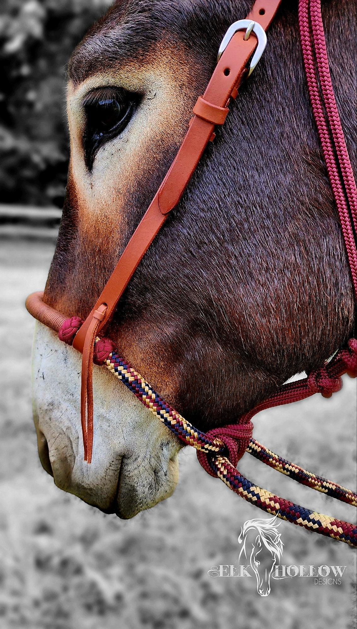 Loping Hackamore Soft Nose - Elk Hollow DesignsLoping Hackamore Soft Nose
