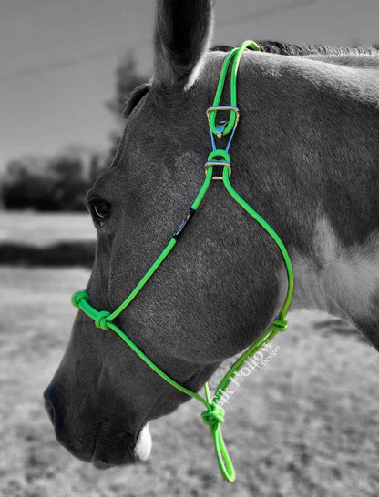 EHD Easy On Rope Halter